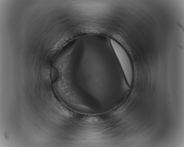 X0000099950449200806061546