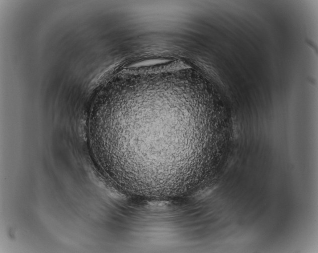 X0000099950450200806061546