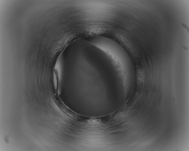 X0000099950451200806061546