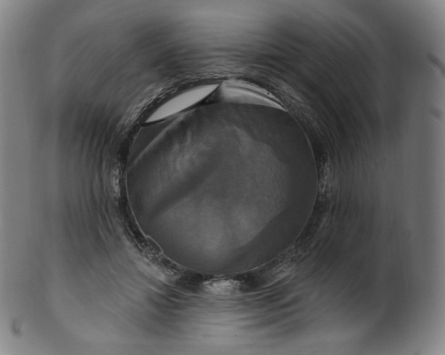 X0000099950452200806061546