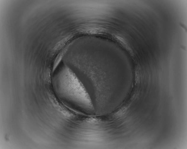 X0000099950453200806061546