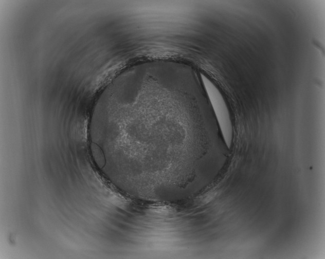 X0000099950454200806061546