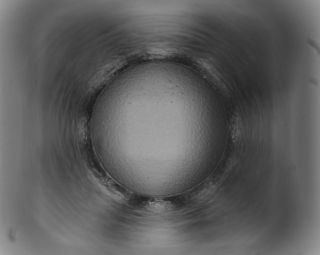 X0000099950455200806061546