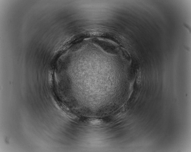 X0000099950456200806061546