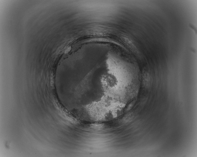 X0000099950457200806061546