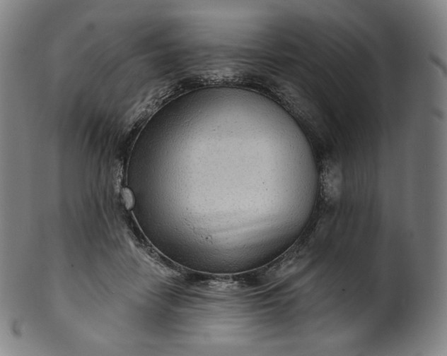 X0000099950458200806061546