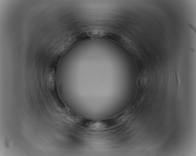 X0000099950460200806061546