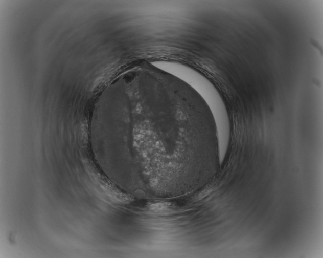 X0000099950461200806061546