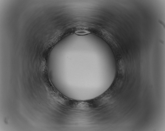 X0000099950463200806061546