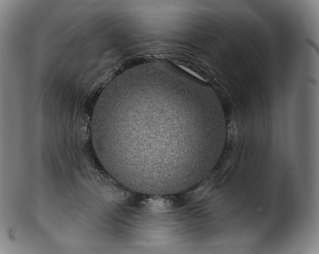 X0000099950464200806061546