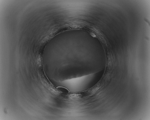 X0000099950465200806061546