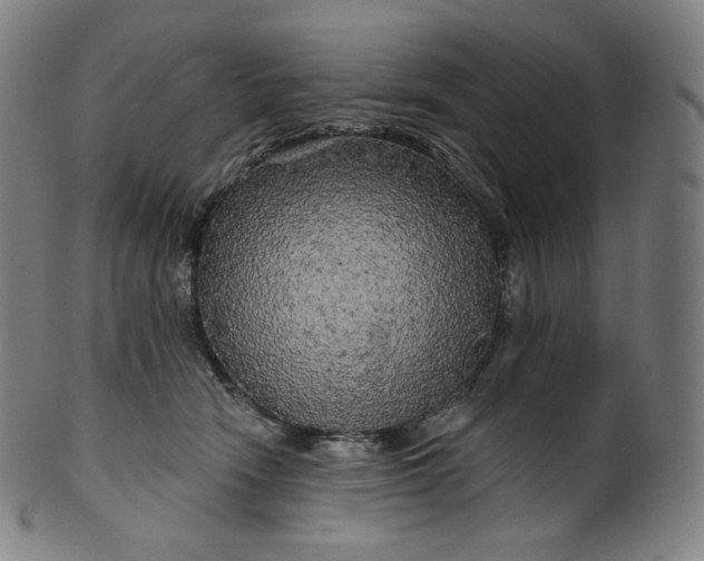 X0000099950466200806061546