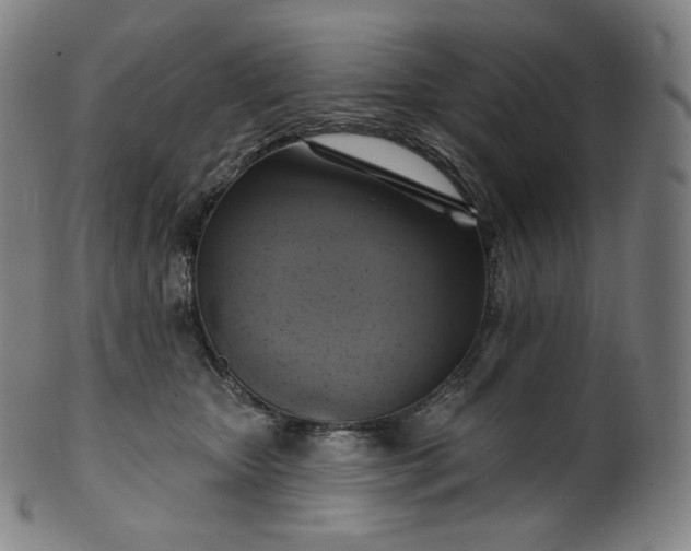 X0000099950467200806061546