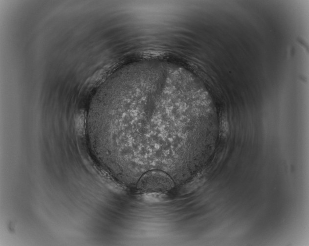 X0000099950468200806061546