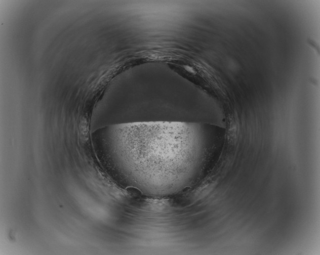 X0000099950469200806061546