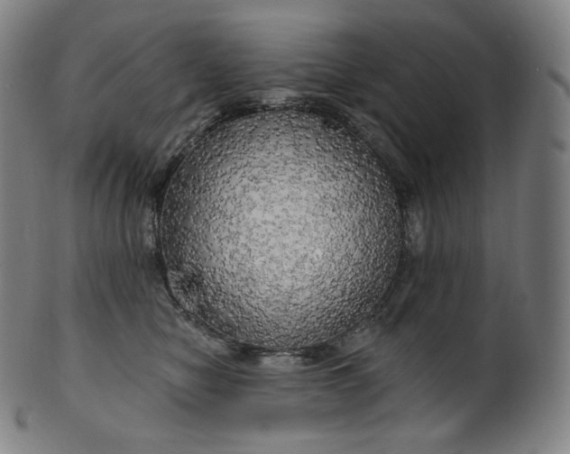 X0000099950470200806061546