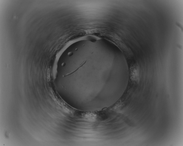 X0000099950471200806061546