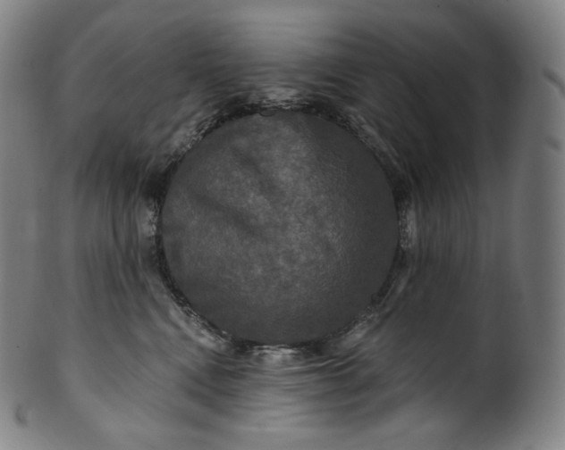 X0000099950472200806061546