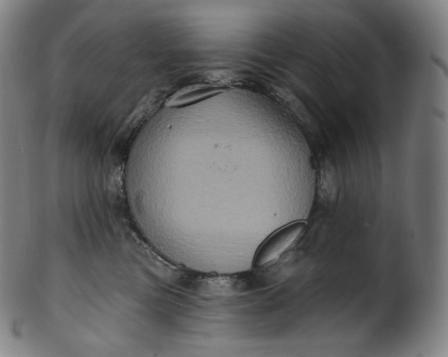 X0000099950473200806061546