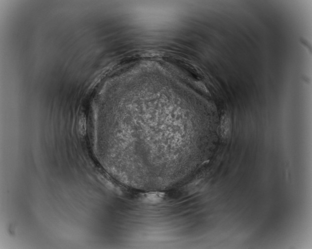 X0000099950474200806061546