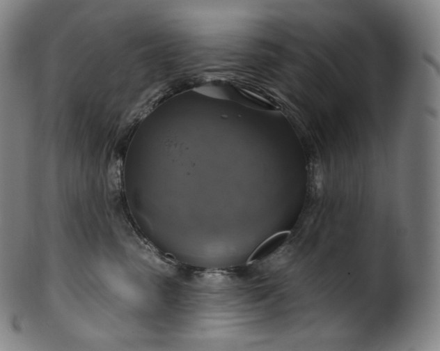 X0000099950475200806061546