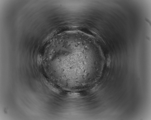 X0000099950476200806061546