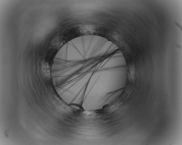 X0000099950477200806061546