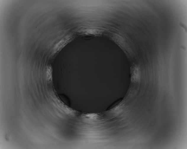 X0000099950478200806061546