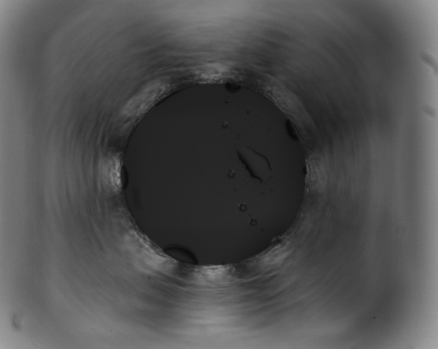 X0000099950479200806061546