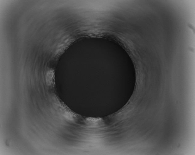 X0000099950480200806061546