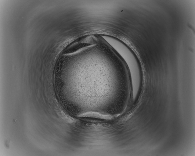 X0000099950481200806061546