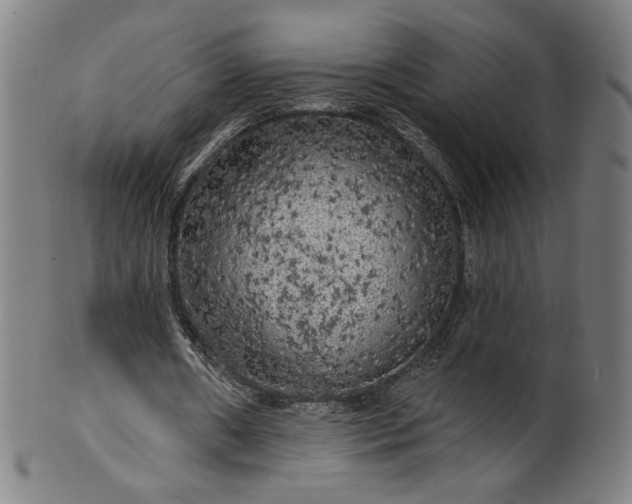 X0000099950482200806061546