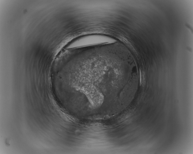 X0000099950483200806061546