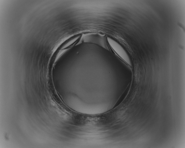 X0000099950484200806061546