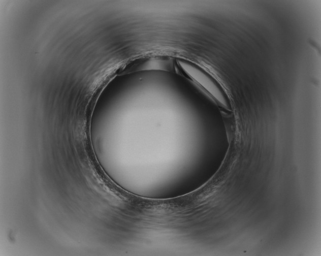 X0000099950485200806061546