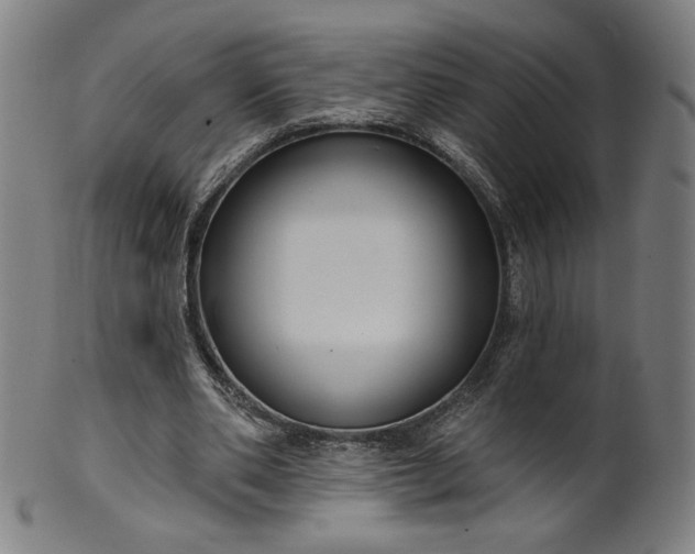 X0000099950486200806061546