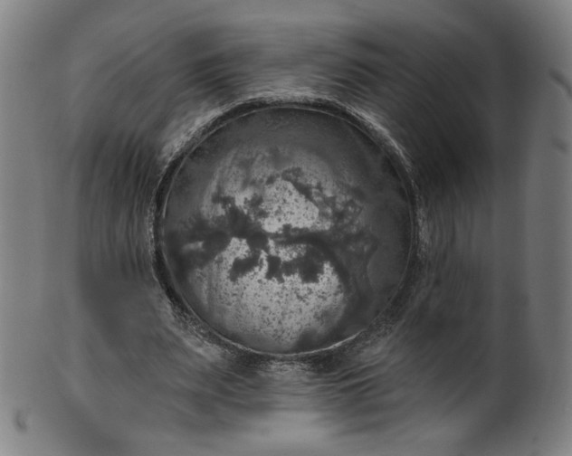 X0000099950487200806061546