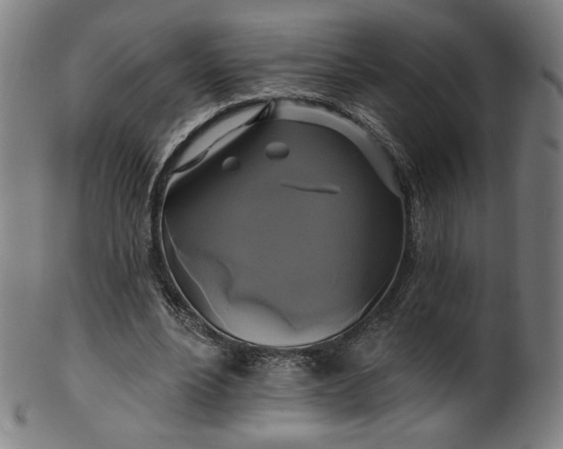 X0000099950488200806061545