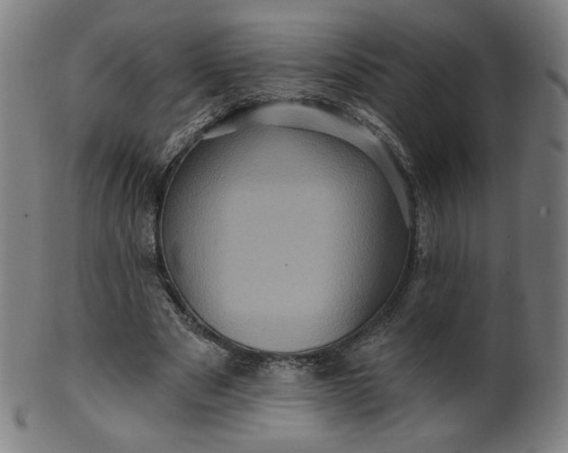 X0000099950489200806061545