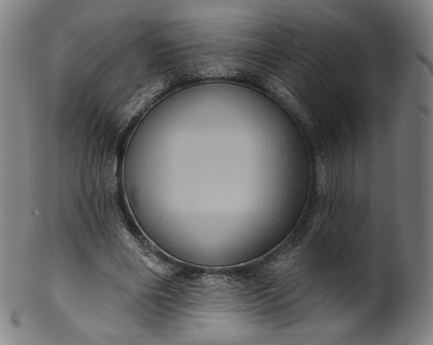 X0000099950490200806061545