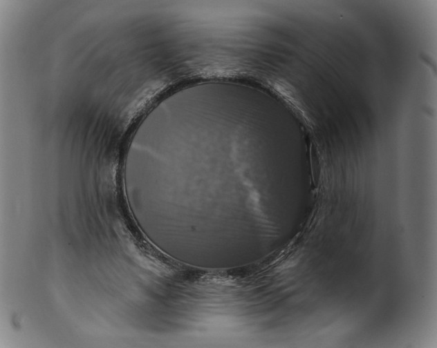 X0000099950491200806061545