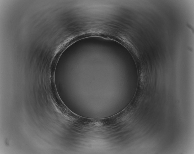 X0000099950492200806061545