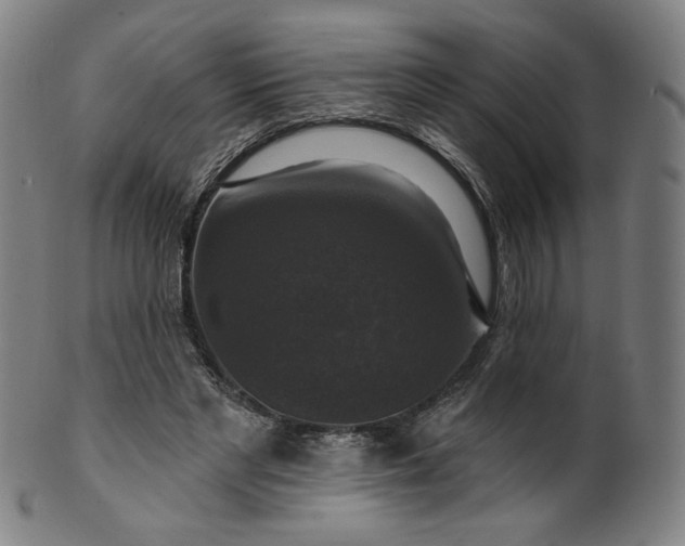 X0000099950493200806061545