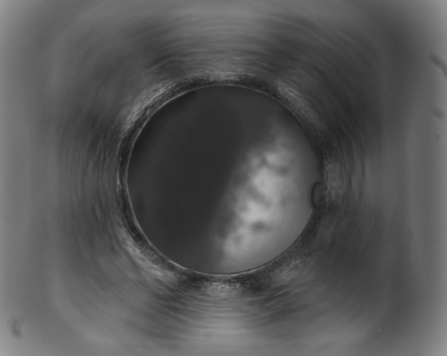 X0000099950494200806061545