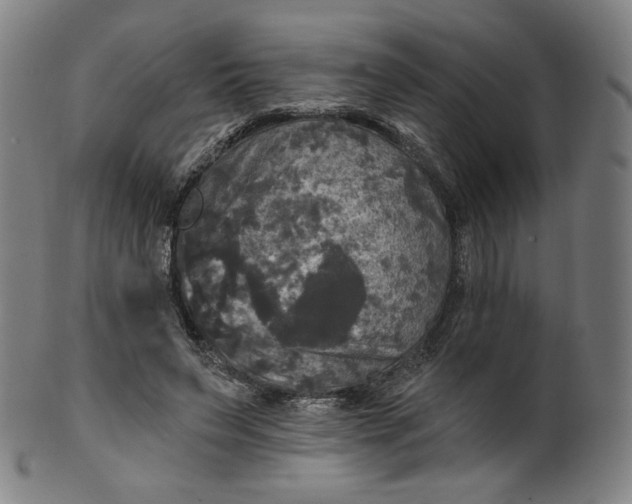 X0000099950495200806061545