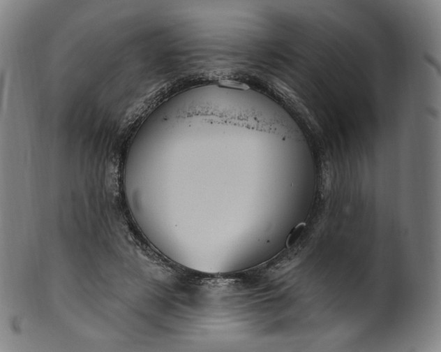 X0000099950497200806061545