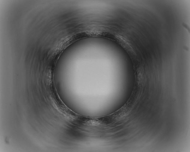 X0000099950498200806061545