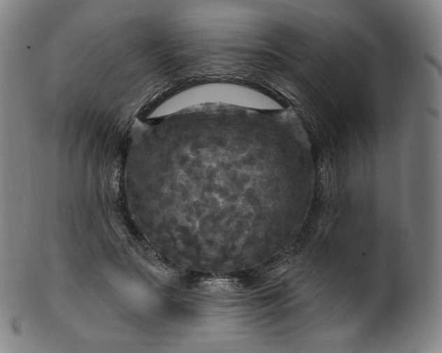 X0000099950499200806061545