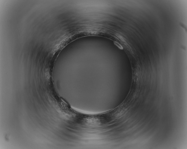 X0000099950500200806061545