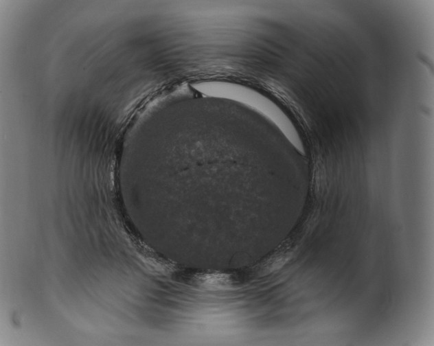 X0000099950501200806061545